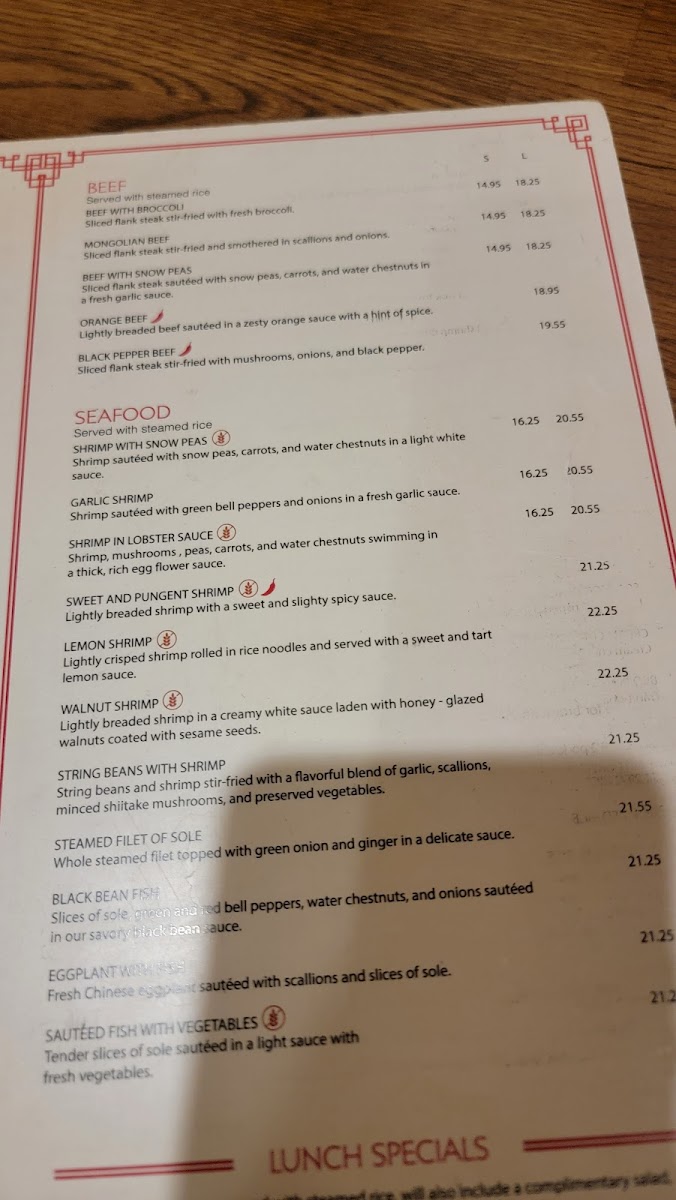 Chi's Chinese Cuisine - 2