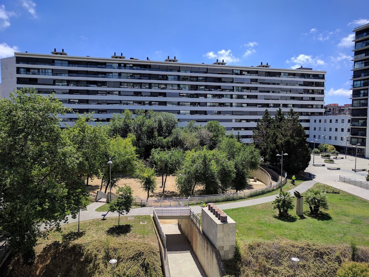 Cafetería Ilodi - 3