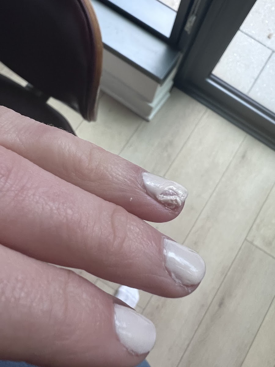 Eastern Market Nails - 4