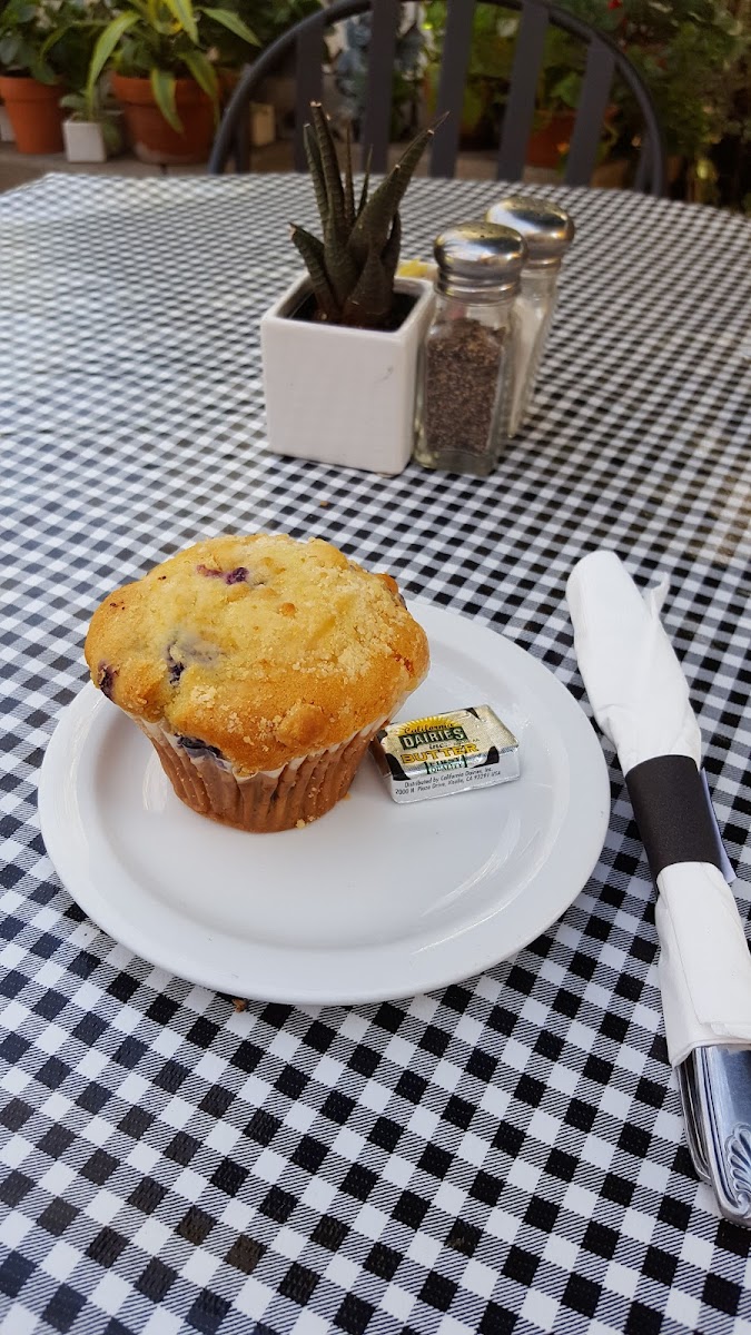 Penelope's Cafe Books & Gallery - 10
