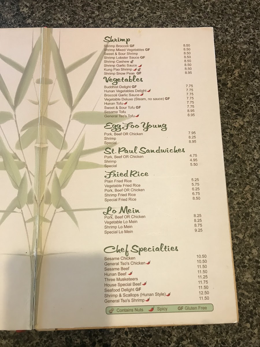 Webster Garden Vietnamese & Chinese Restaurant - 4