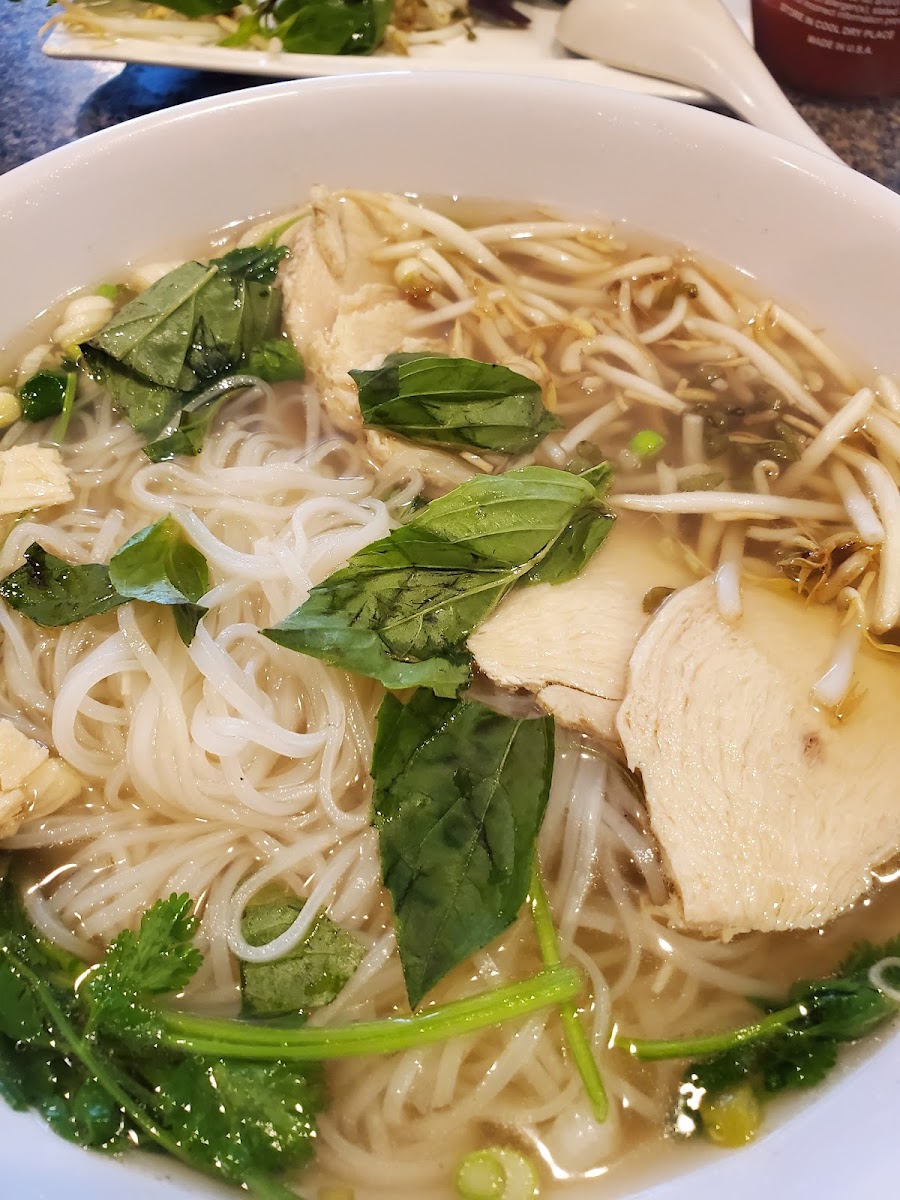 Webster Garden Vietnamese & Chinese Restaurant - 2