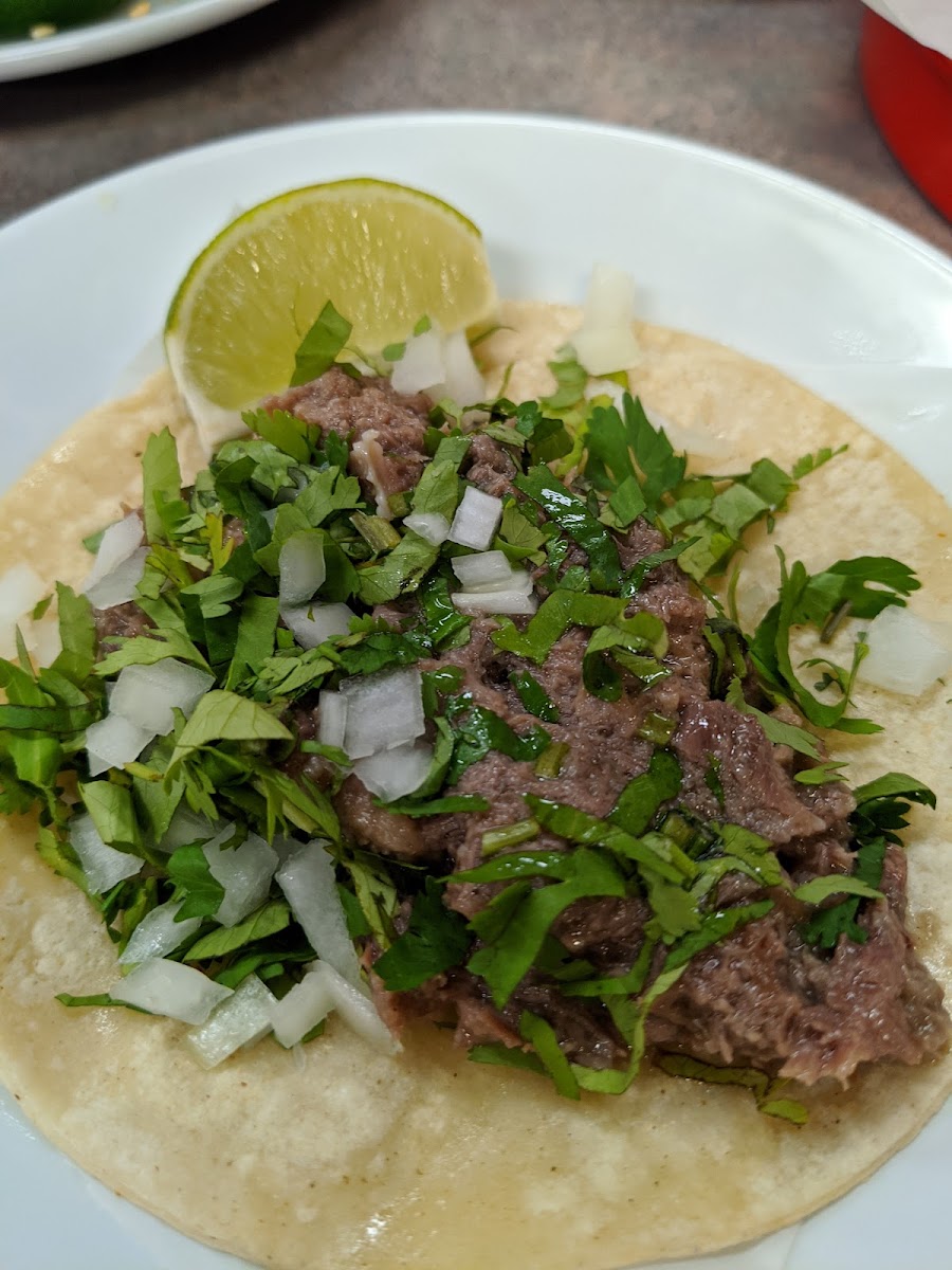 Taqueria La Venadita - 5