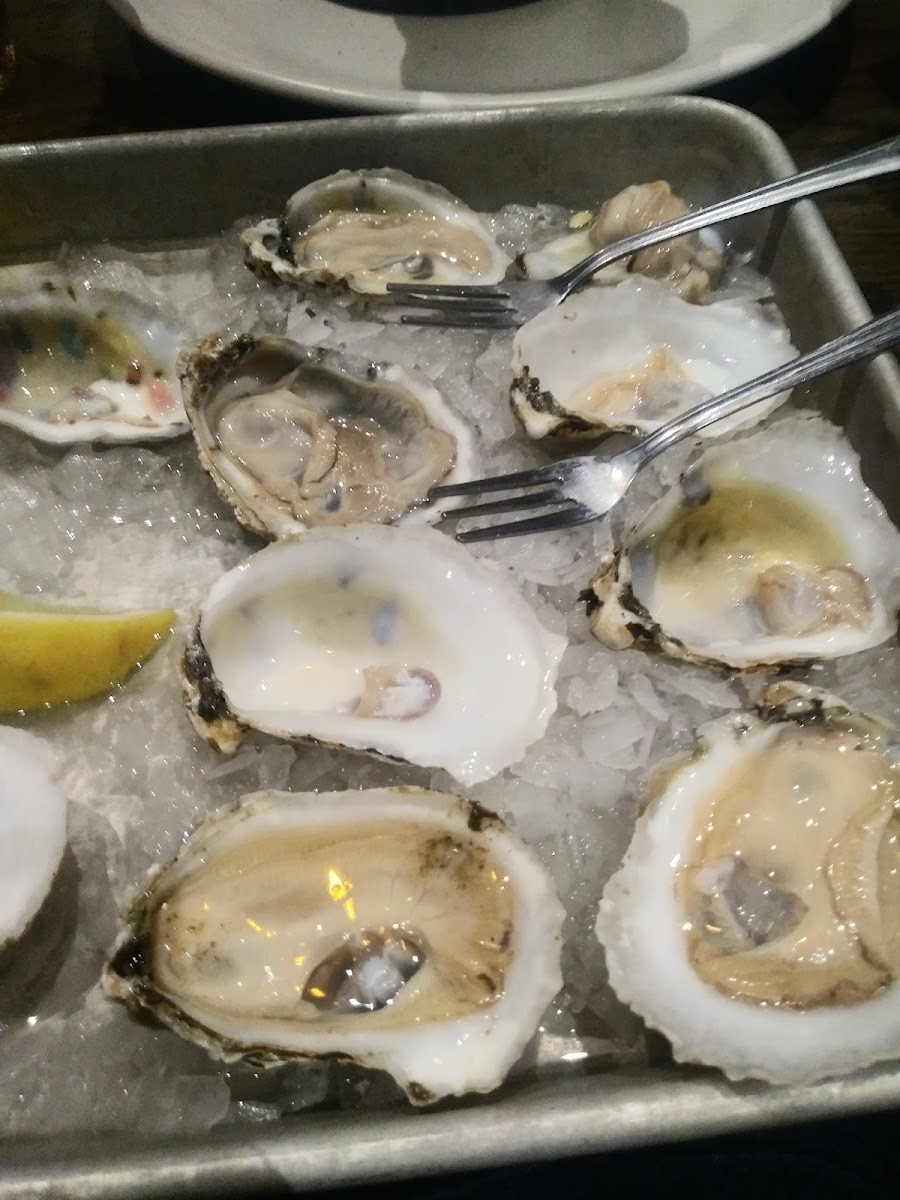 Not Your Average Joe's - Bethesda - 7