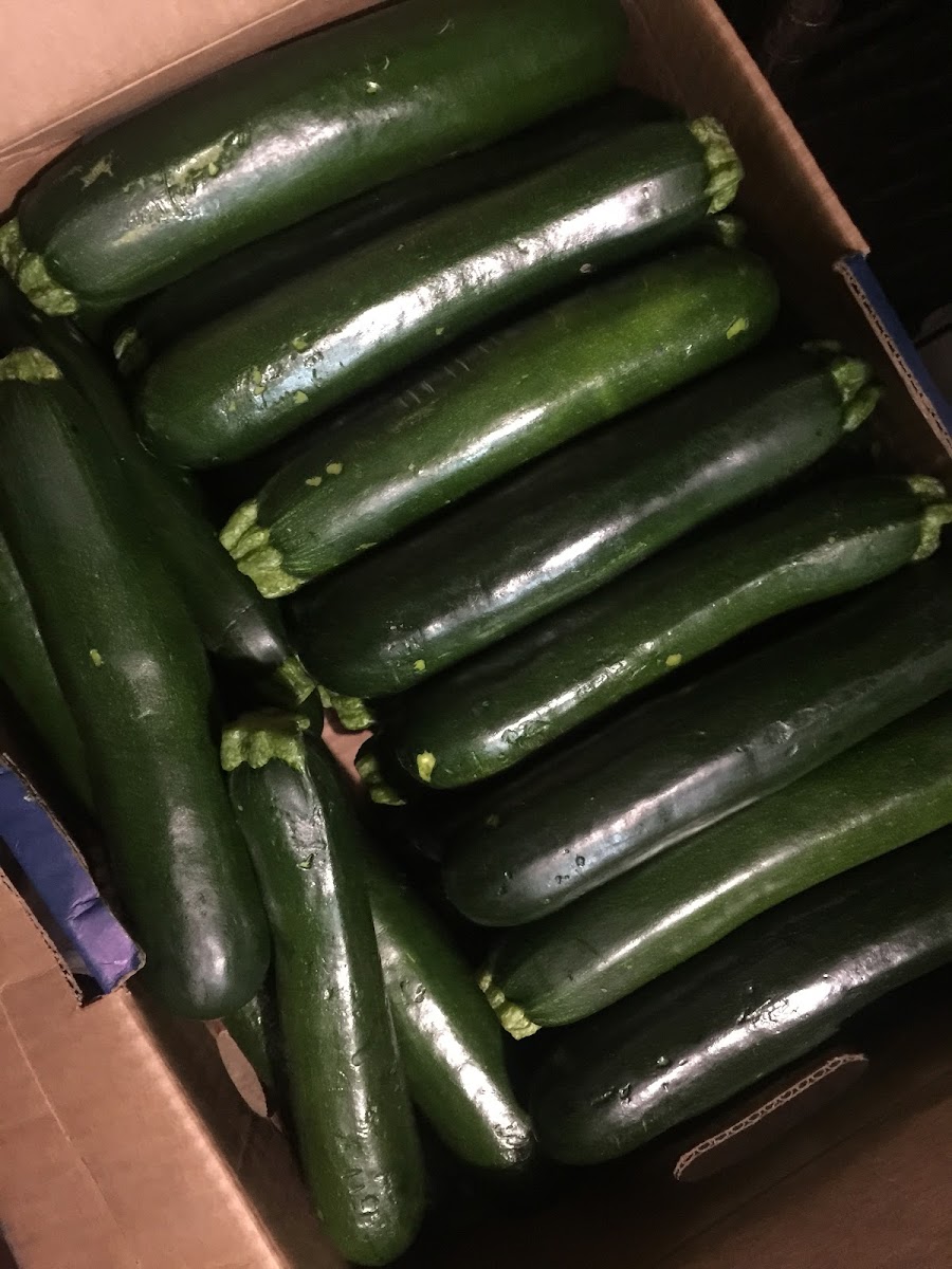 Dutchman's Pizza - 4