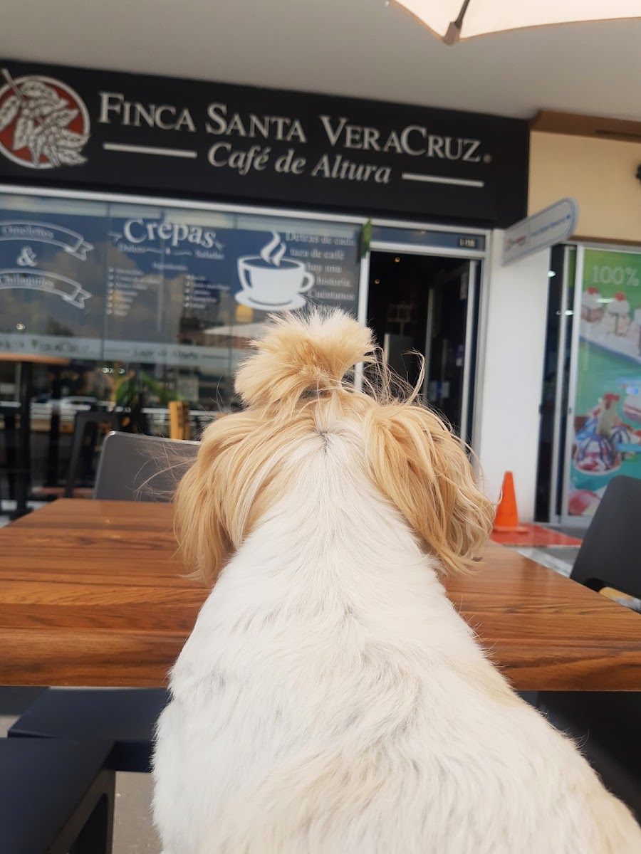 Finca Santa VeraCruz Echegaray - 4