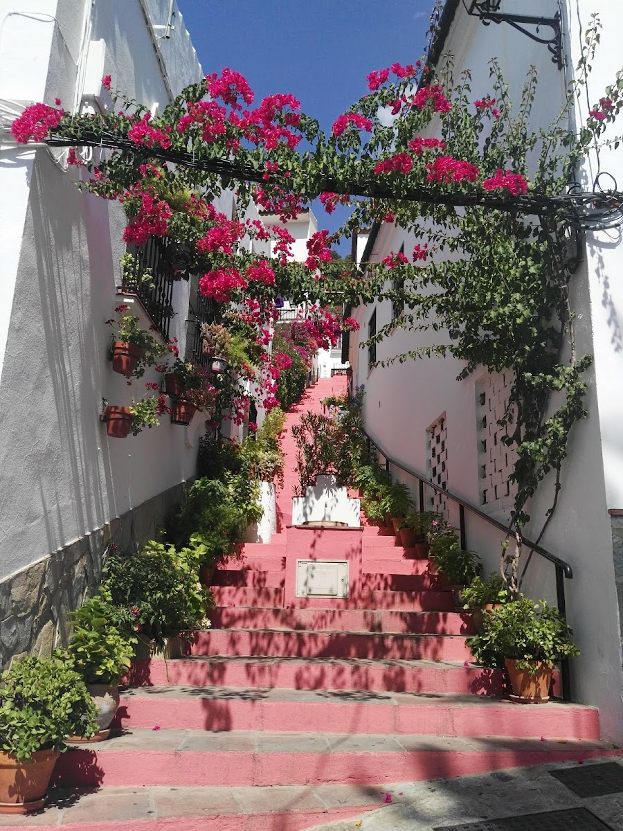 La Alameda - 4