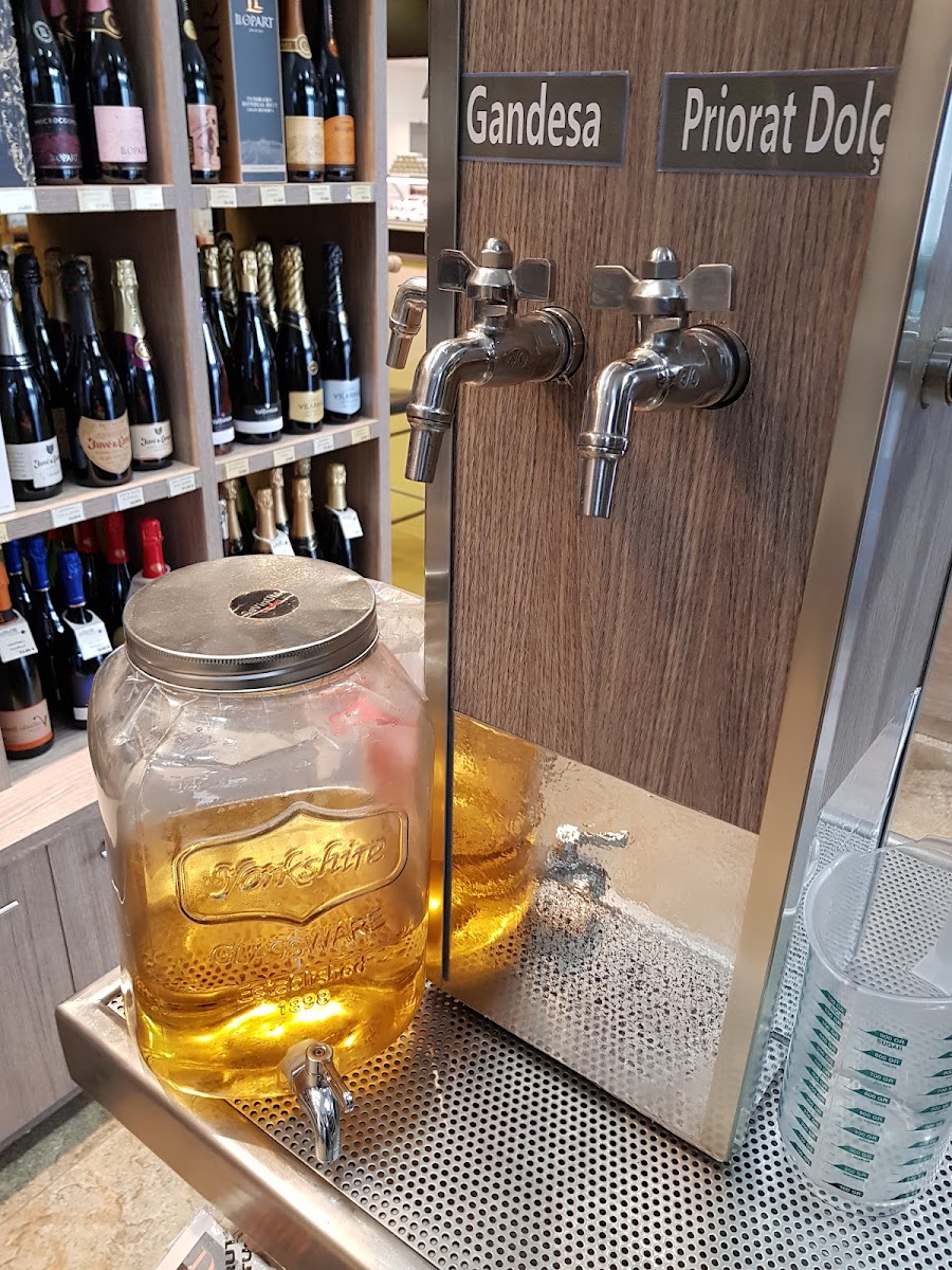 Celler Savinum - 9