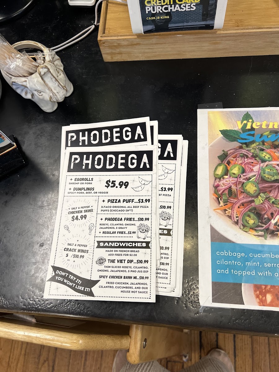 Phodega - 9
