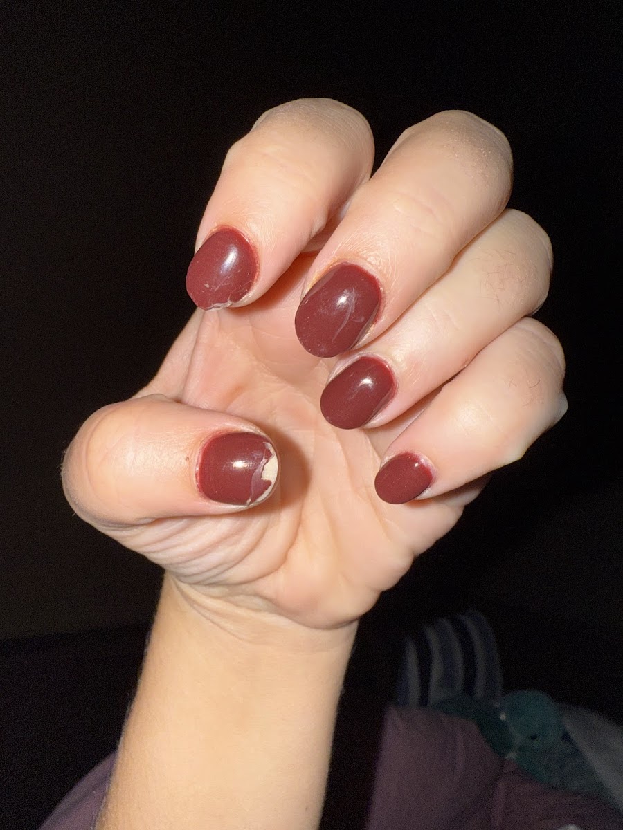 Toe Paradise Nail Salon & Spa - 5