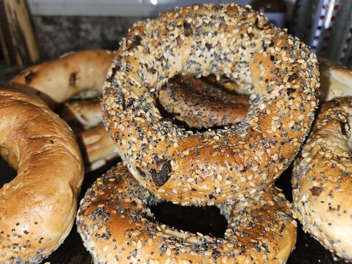 Bobino Bagel - 6