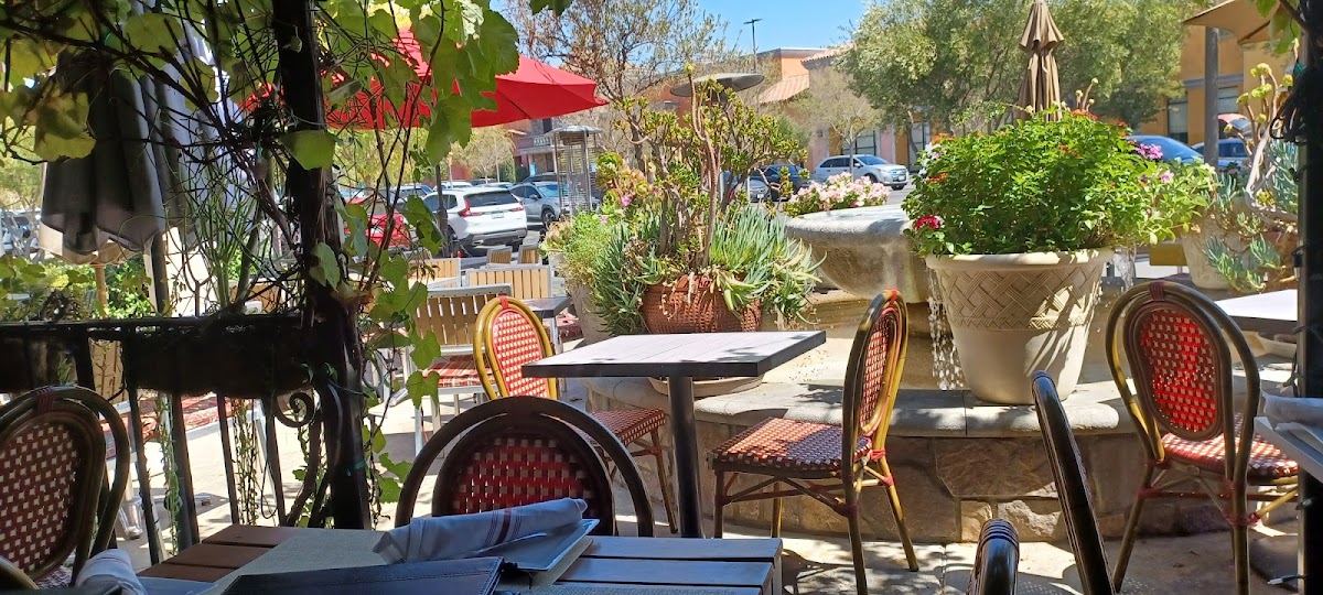 Olive Terrace Bar & Grill - 3