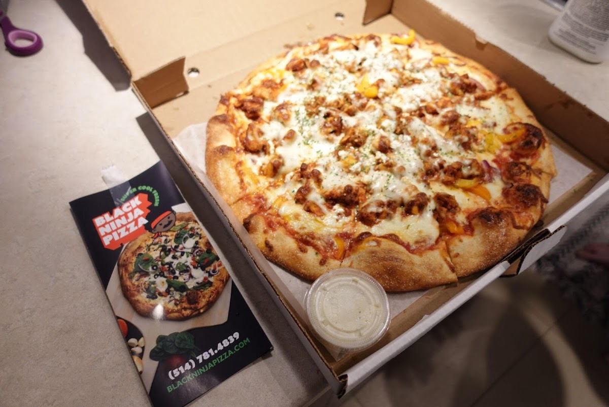 Super Cool Fresh Black Ninja Pizza - 6