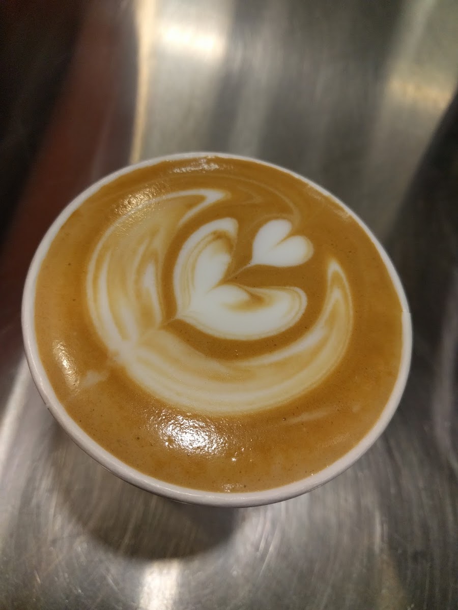 Amplified Cafe - 4