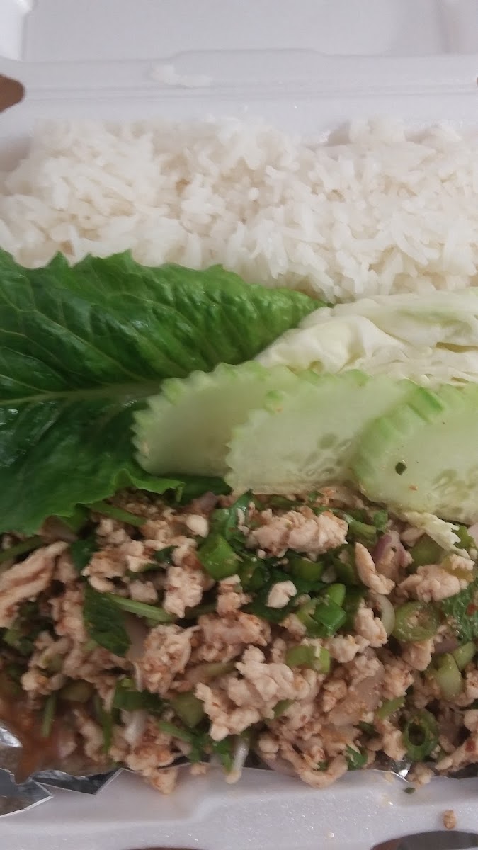 Tasty Food To Go - Thai & Lao - 7