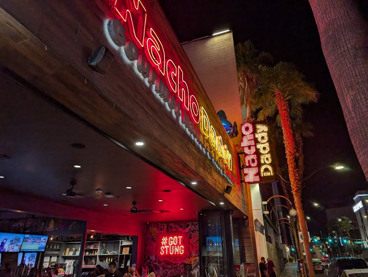 Nacho Daddy - Downtown - 3