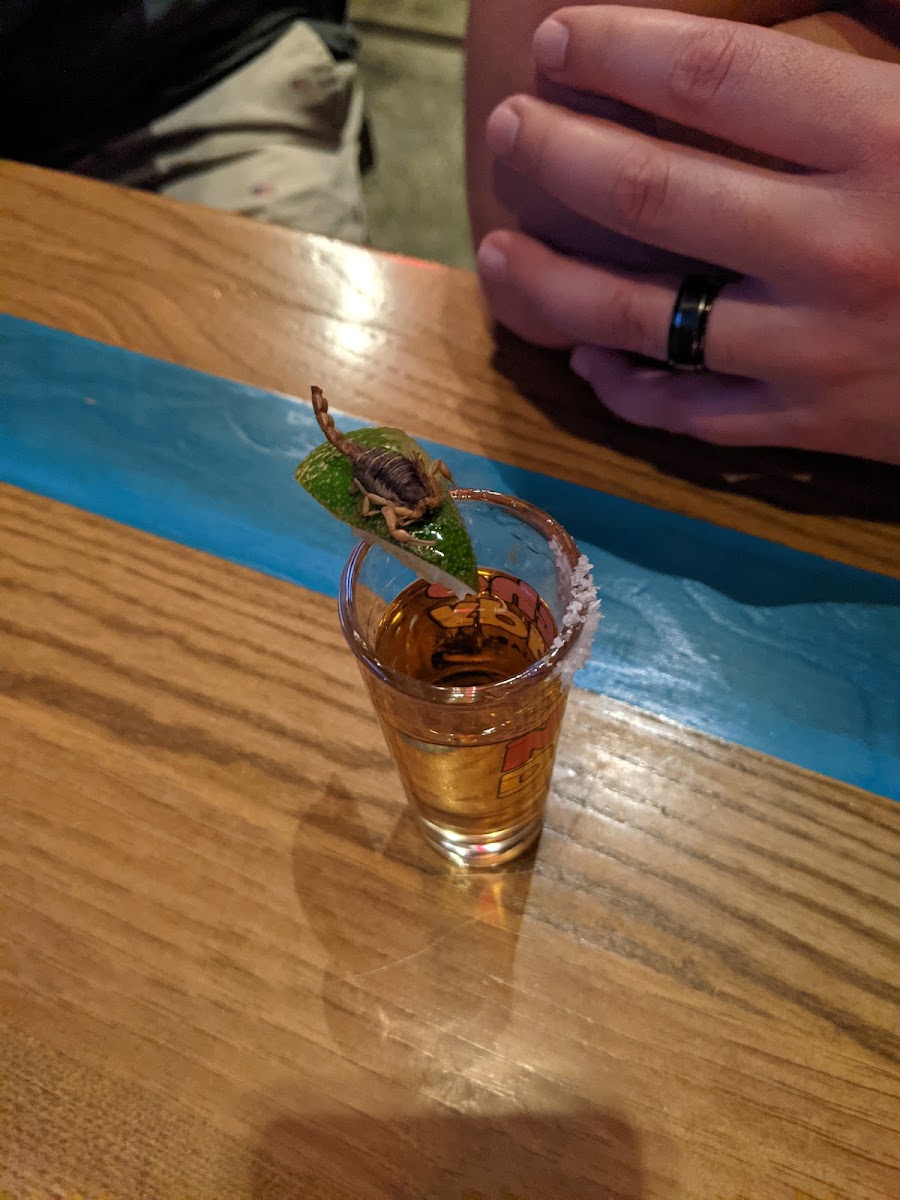 Nacho Daddy - Downtown - 5