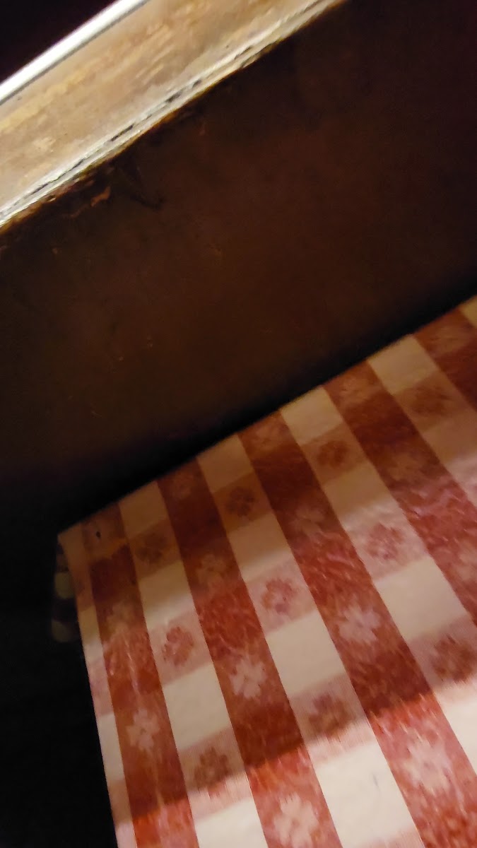 Filippi's Pizza Grotto Little Italy - 10