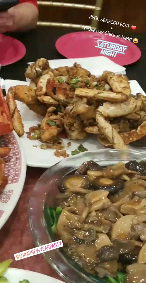 Mai Dragon / Mai Dim Sum - 2