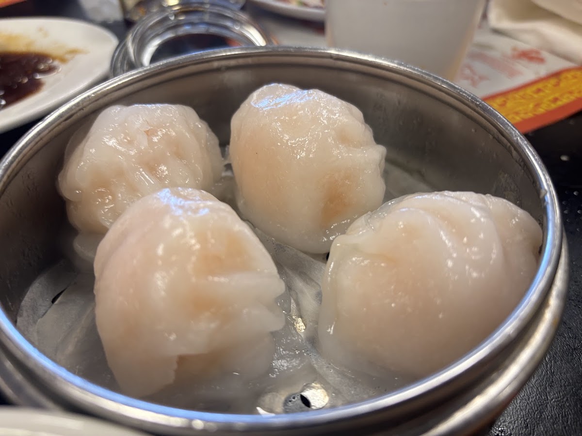 Mai Dragon / Mai Dim Sum - 4