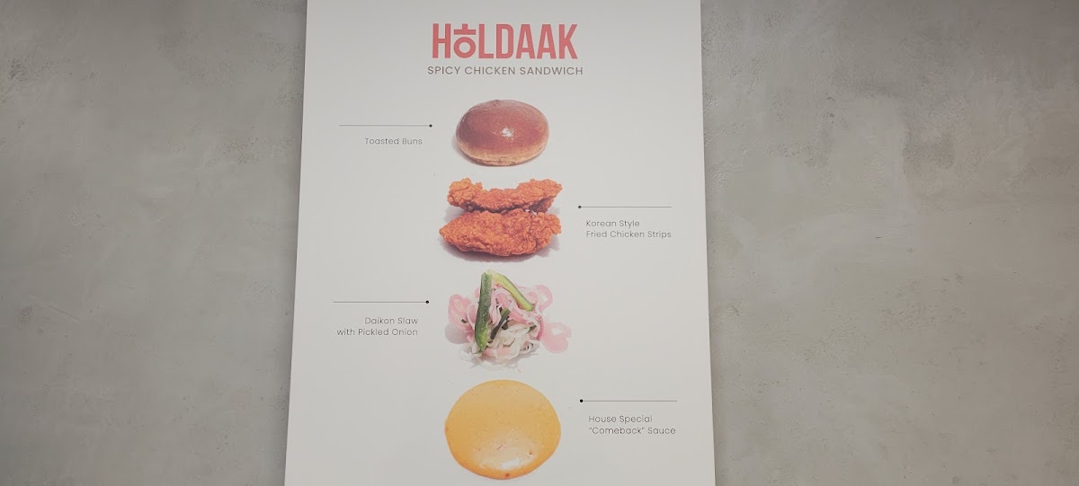 HOLDAAK Fried Chicken - 10