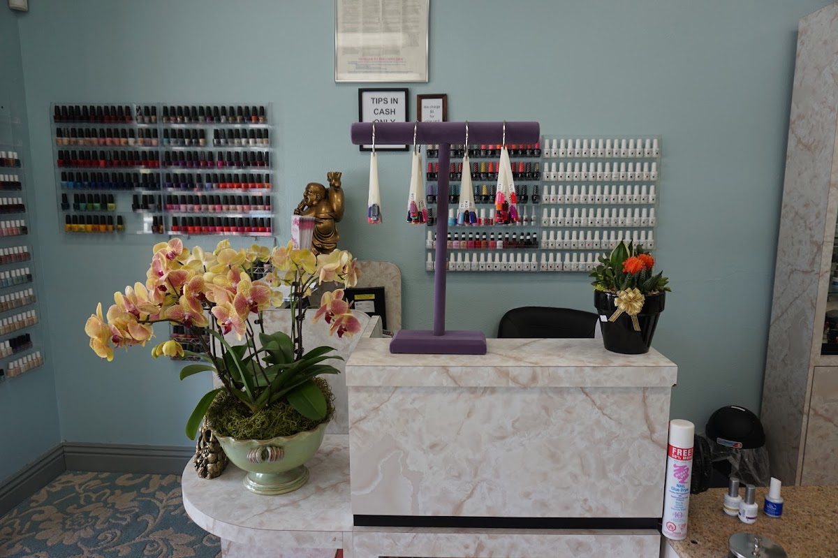 Gallery Nails and Spa - 4