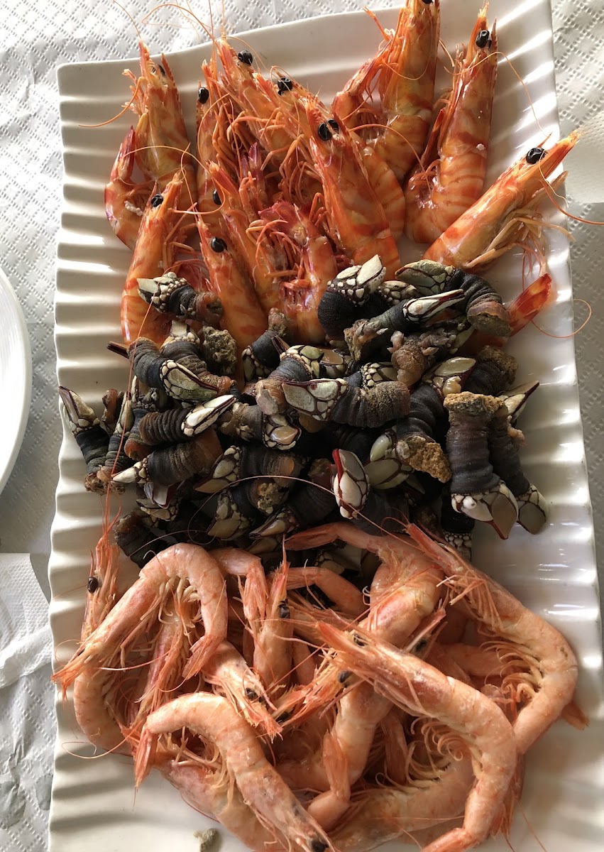 Pescados Albamar S L - 7