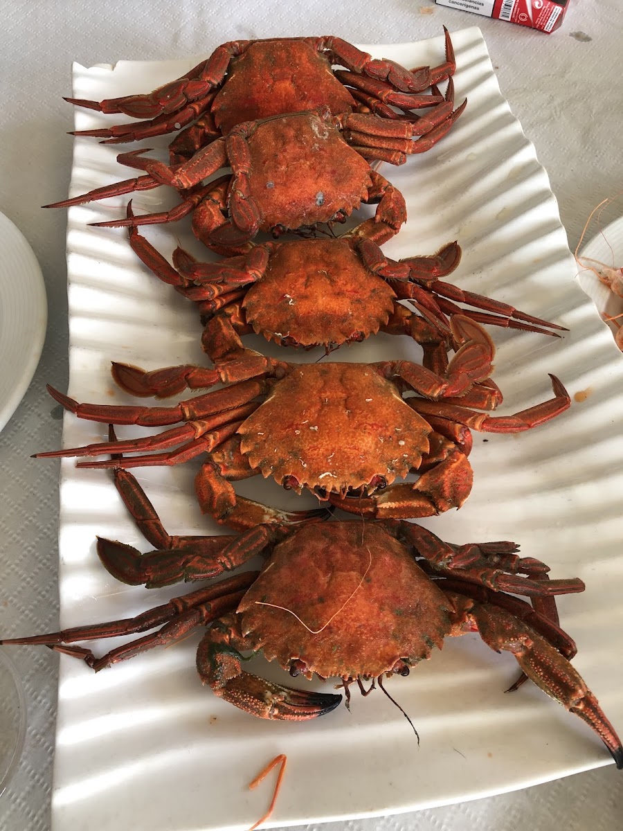 Pescados Albamar S L - 9