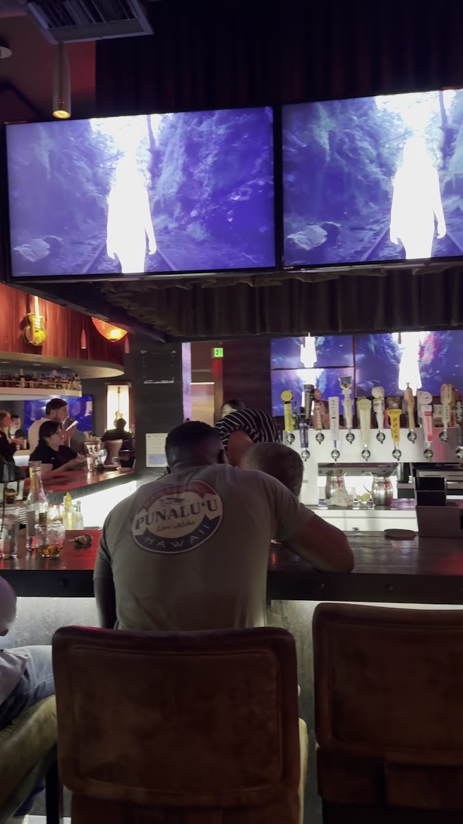 HQ Gastropub - Woodland Hills - 2