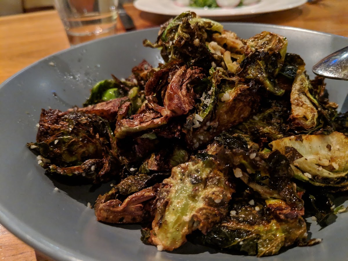 Spoonbar - 9