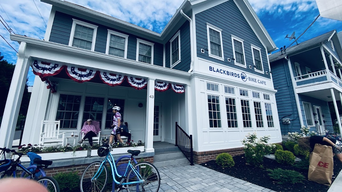 Blackbirds Bike Cafe - 4