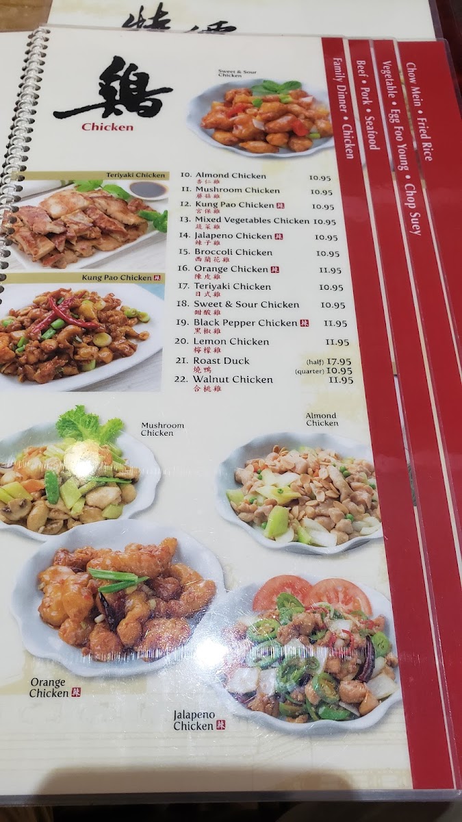 Golden Palace Chinese Restaurant - 9