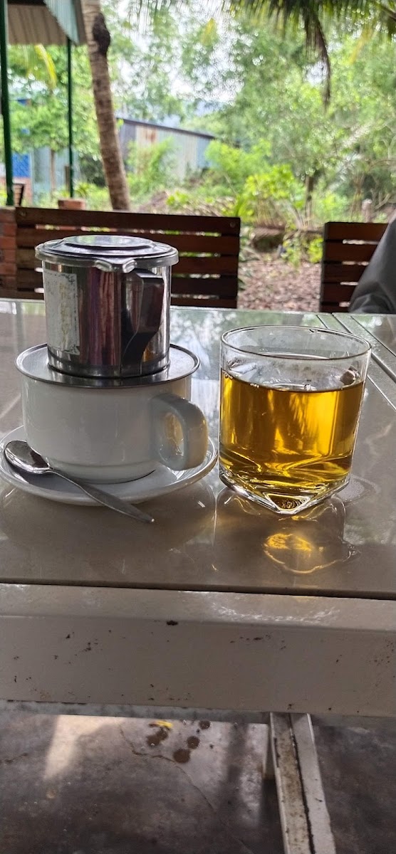 Cafe Sân vườn Cây Dừa - 5