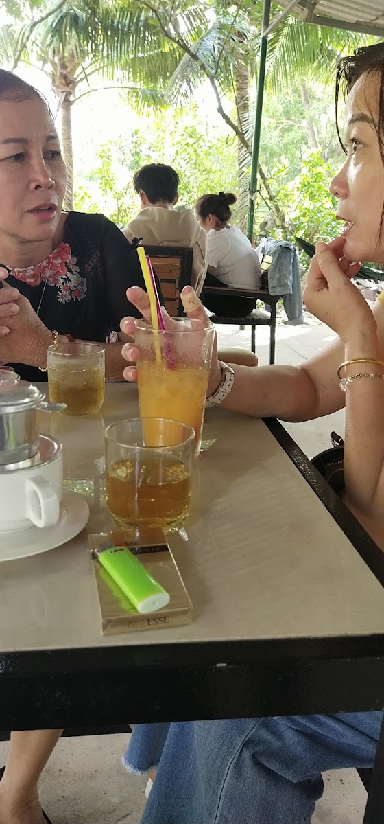 Cafe Sân vườn Cây Dừa - 7