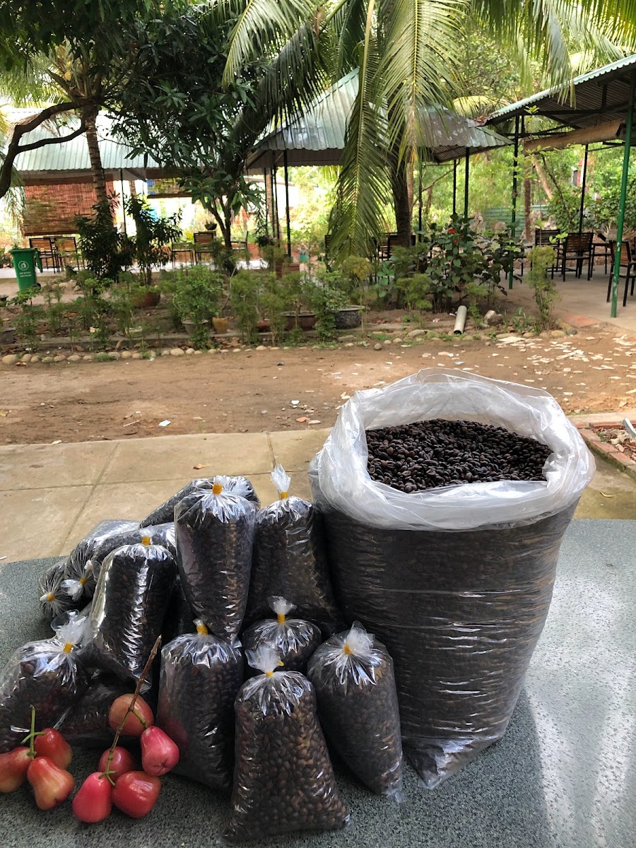 Cafe Sân vườn Cây Dừa - 9