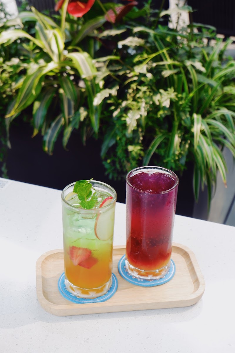 Day Maker Coffee Bean - 9