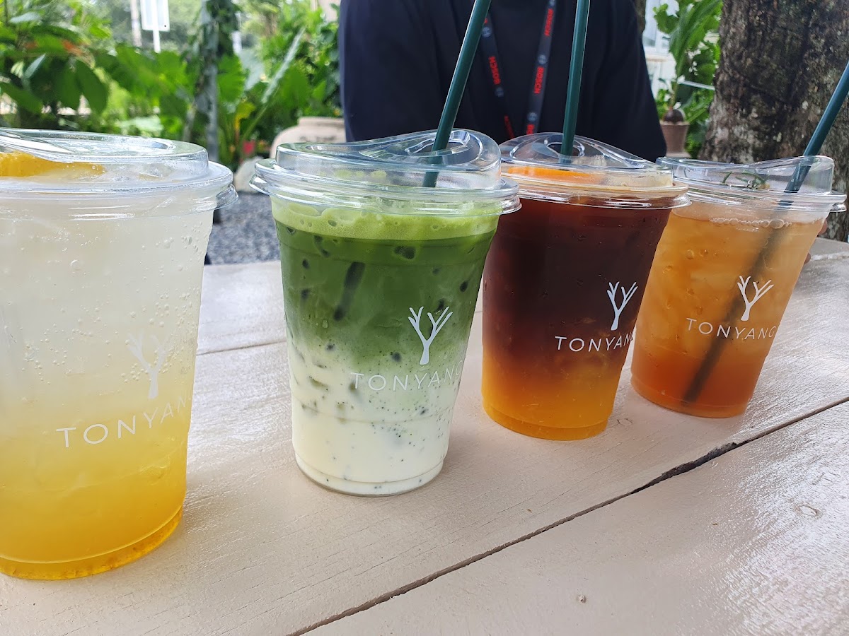 Tonyang cafe (ต้นยางคาเฟ่) - 3