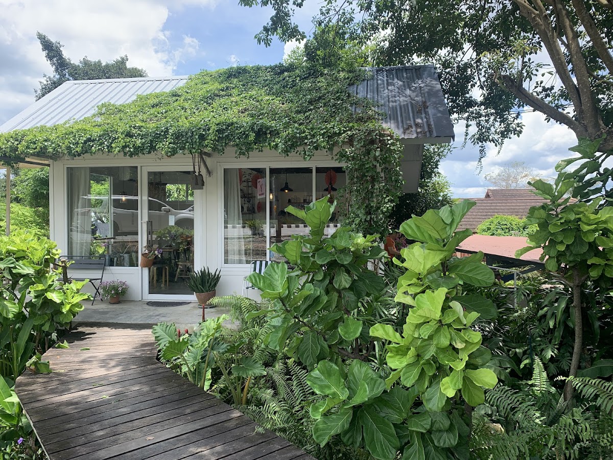 Tonyang cafe (ต้นยางคาเฟ่) - 4