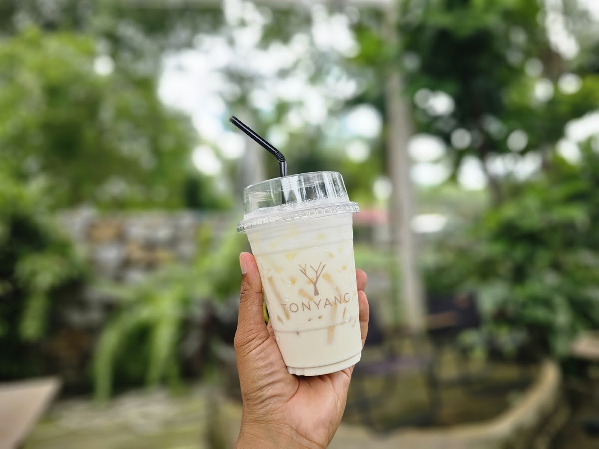 Tonyang cafe (ต้นยางคาเฟ่) - 7