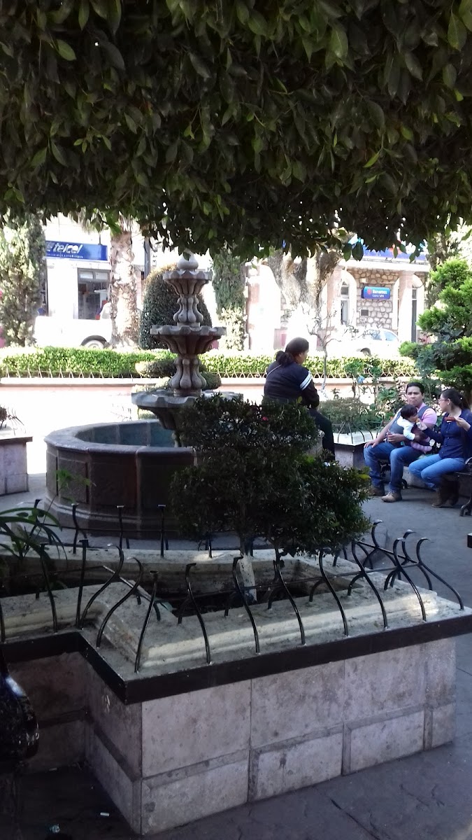 El Patio De Doña Delia - 6