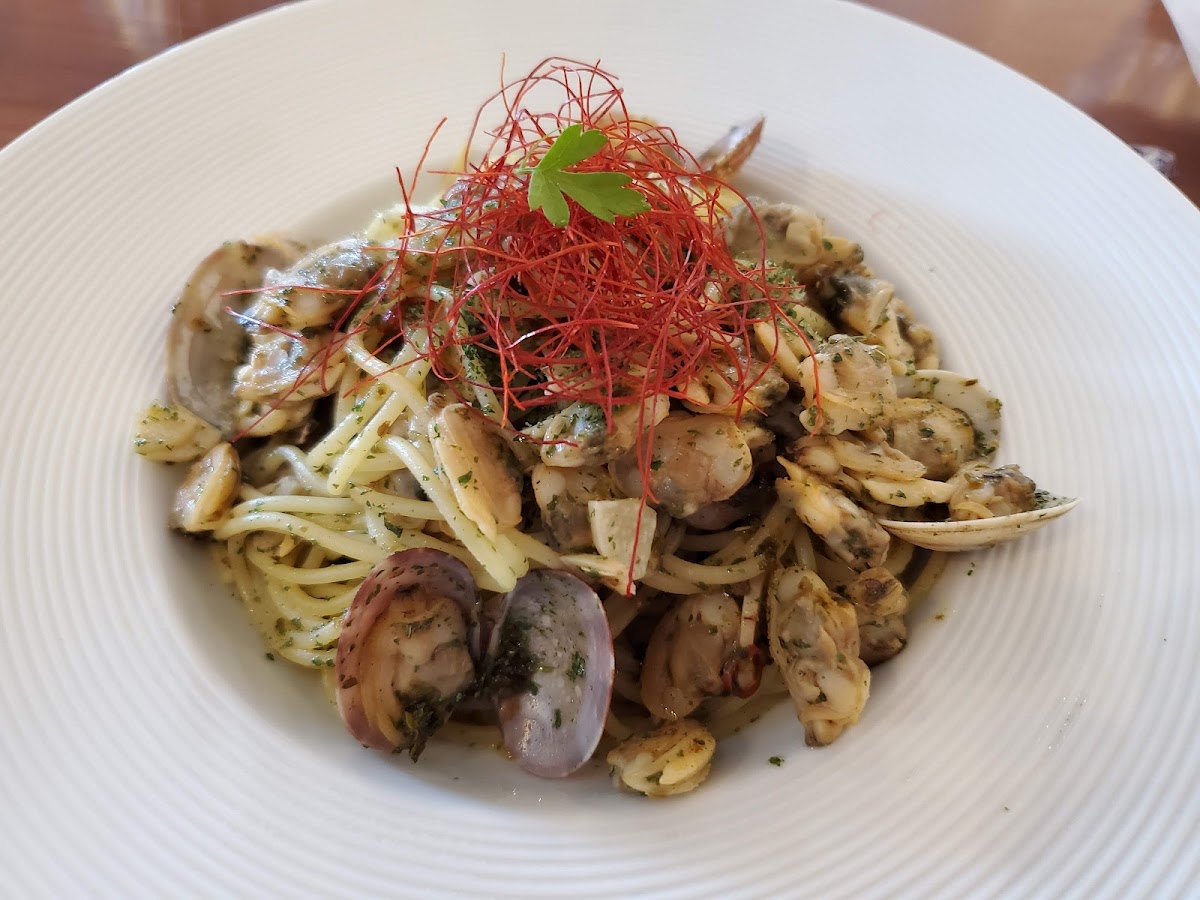 Atelier Orange Bell - 8