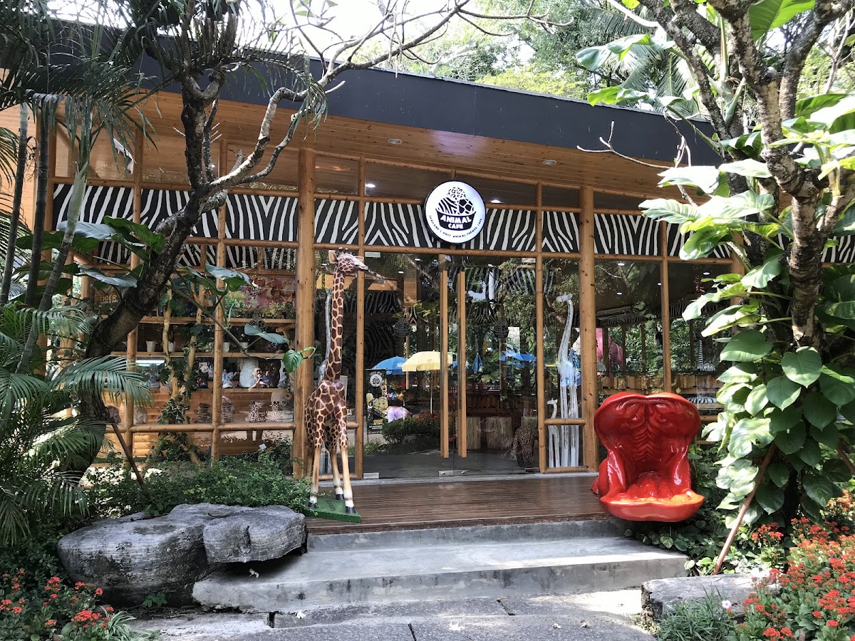 Animal Cafe