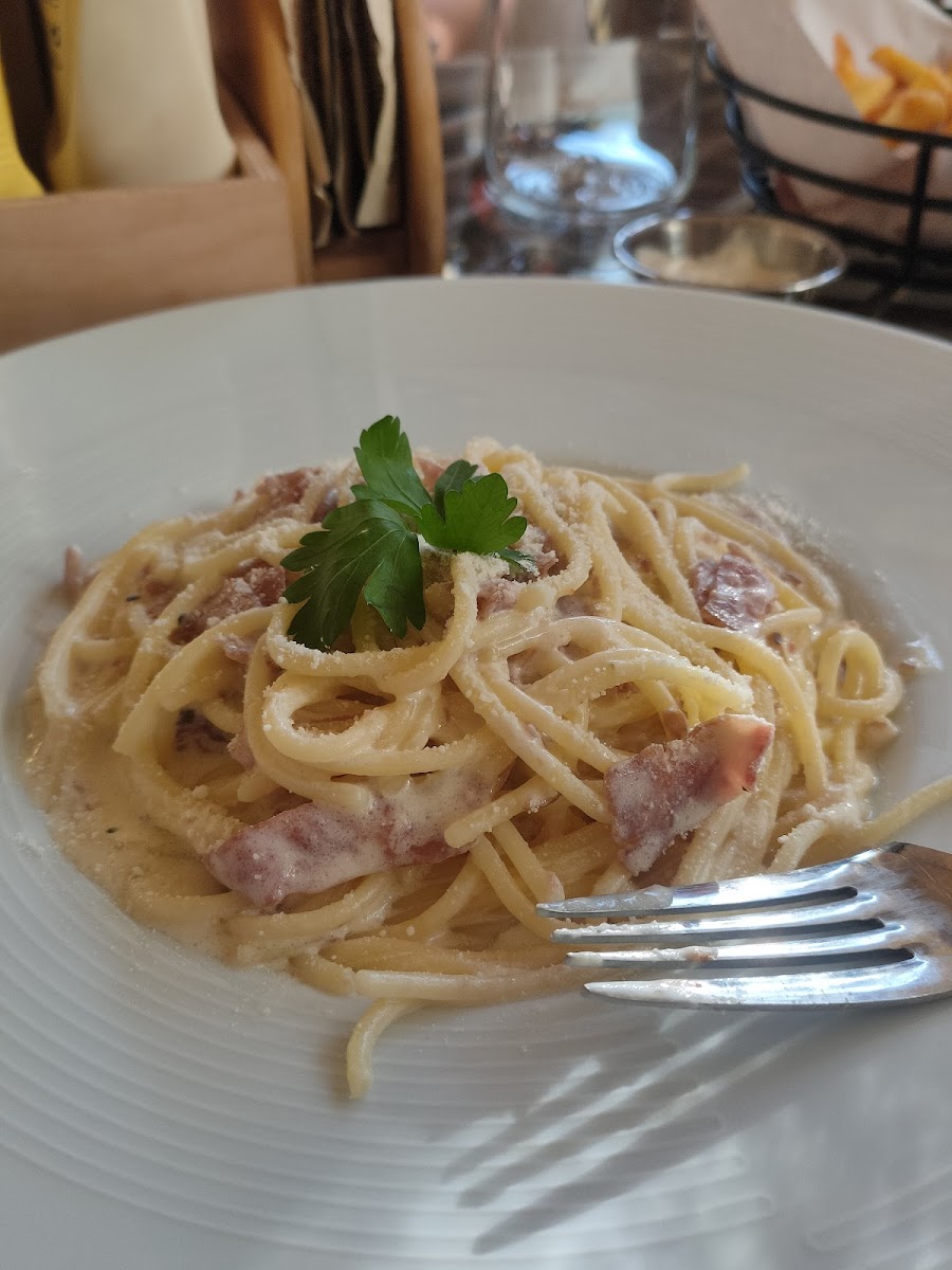 Kasaba Garden Silifke - 8