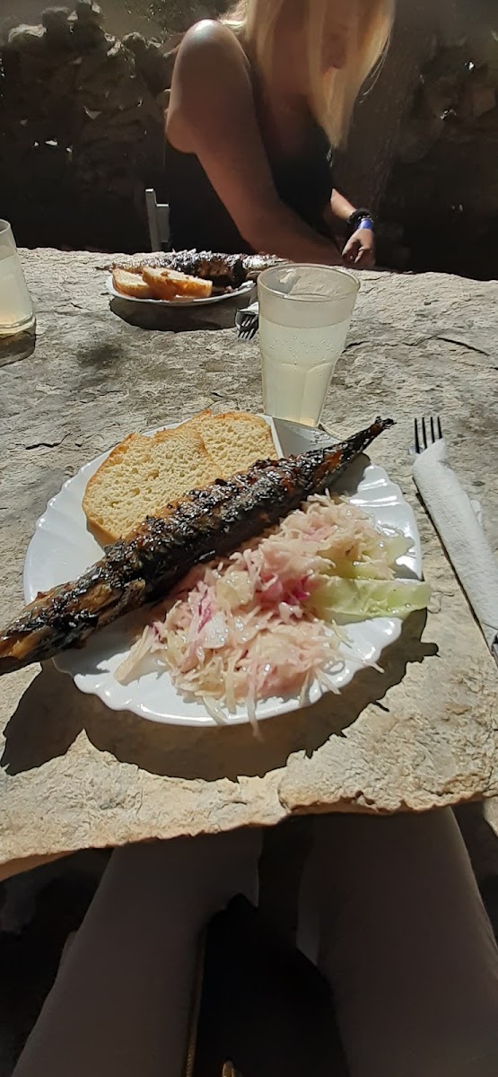 Terapija Beach Bar - 9