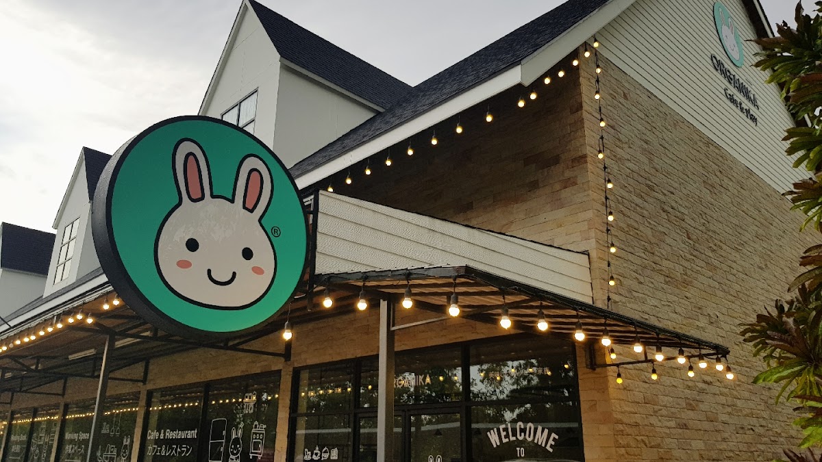 Organika cafe and play