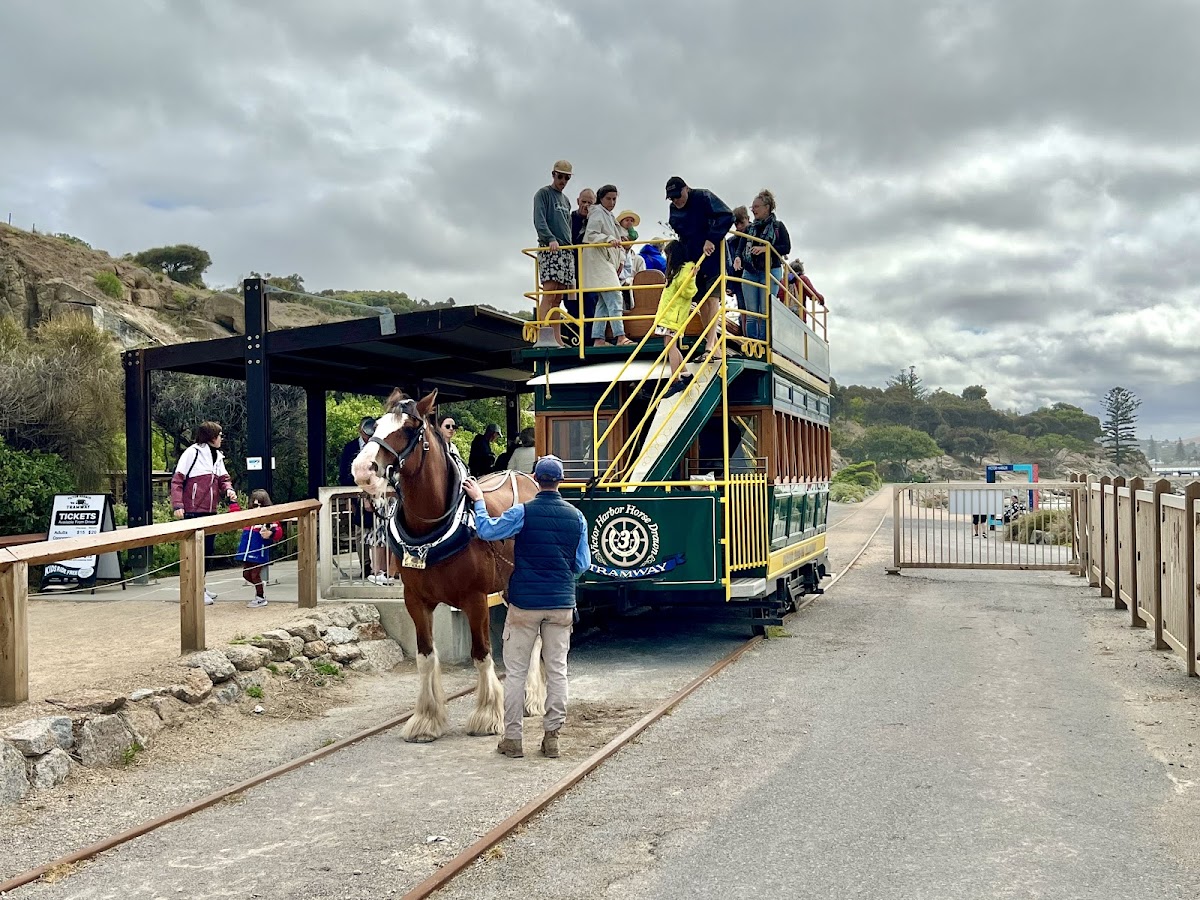 Granite Island Recreation Park - 7