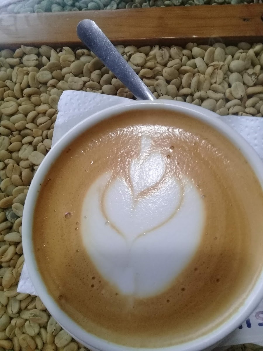 Aroma Café • Parque Soberanía - 6