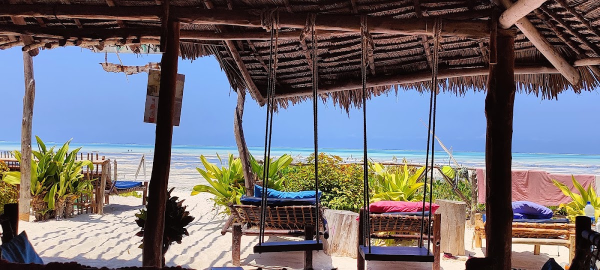 ZANZISTAR BEACHBAR