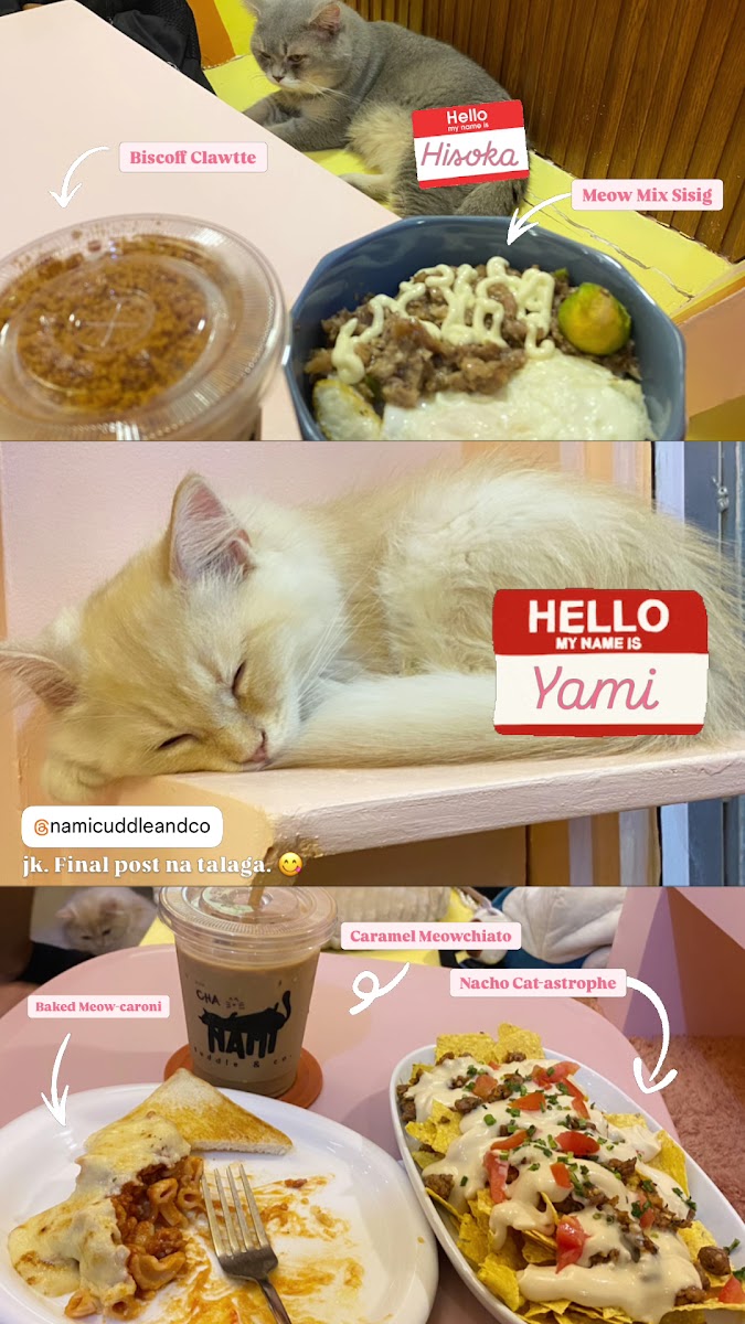 Nami's Cuddle & Co - 2