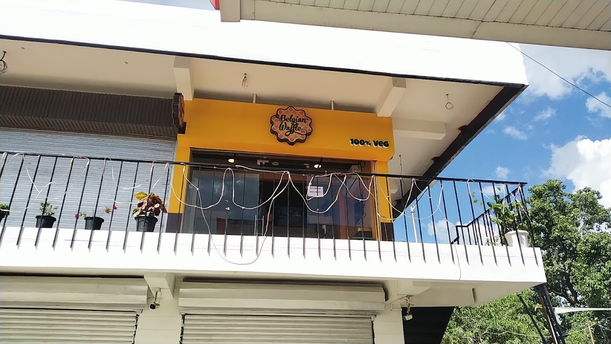 The Belgian waffle Co.